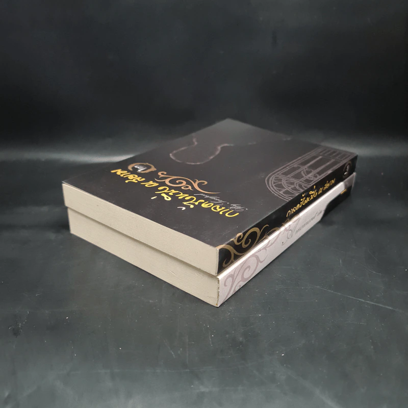 นิยายวาย กาลครั้งหนึ่ง ณ สยาม 2 เล่มจบ Boxset - เซ็งเป็ด รูปที่ 7