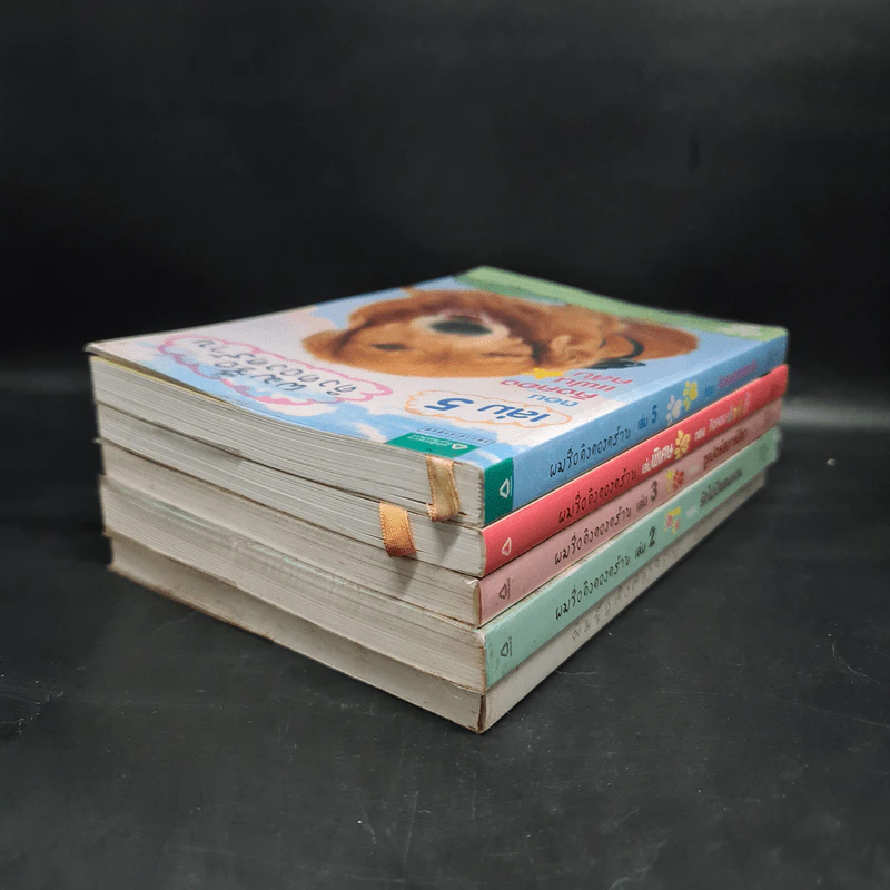 ผมชื่อคิงคองคร้าบ เล่ม 1,2,3,5 + เล่มพิเศษ - วัสชนะ พรหมประสิทธิ์ รูปที่ 4