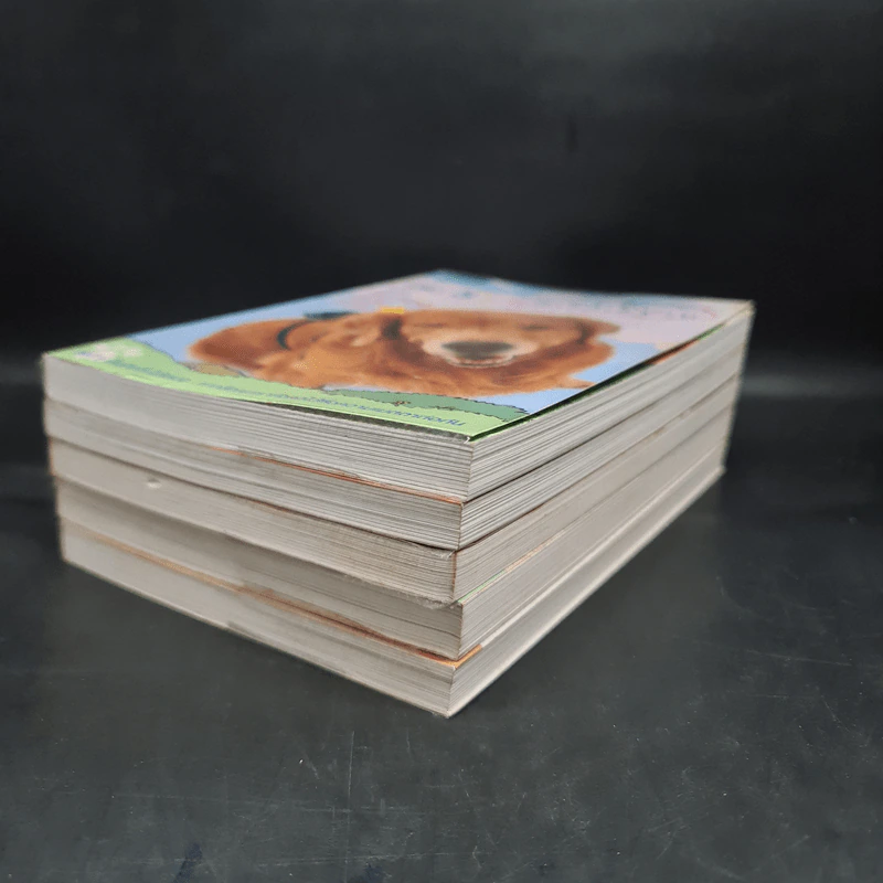 ผมชื่อคิงคองคร้าบ เล่ม 1,2,3,5 + เล่มพิเศษ - วัสชนะ พรหมประสิทธิ์ รูปที่ 3