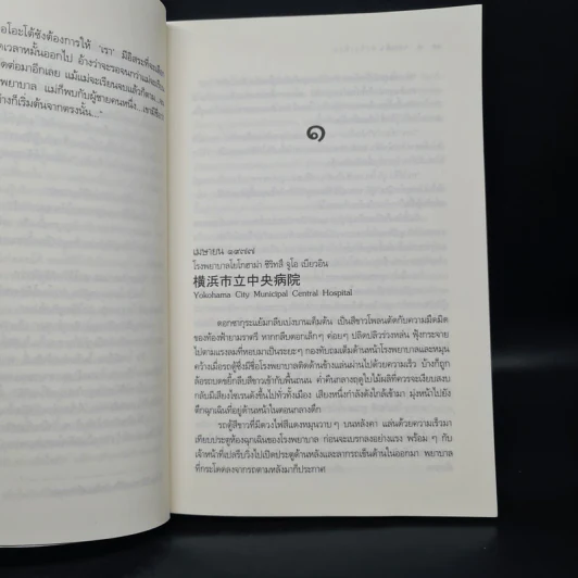 Rising Sun รอยฝันตะวันเดือด - ณารา รูปที่ 6