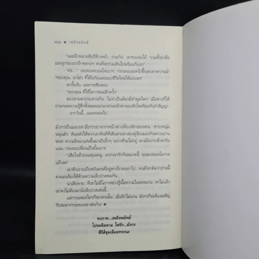 เพลิงพยัคฆ์ - ณารา รูปที่ 7