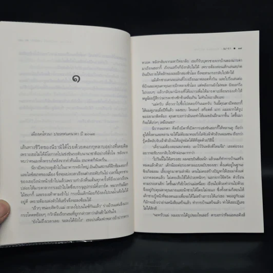 เงาลวง - ณารา รูปที่ 6