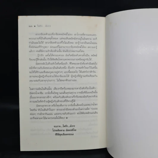 ไฟรักมังกร ชุด เลือดทระนง - ณารา รูปที่ 7