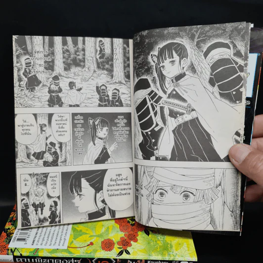 ดาบพิฆาตอสูร เล่ม 1-6 รูปที่ 7