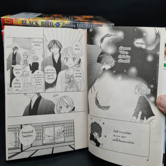 Black Bird 18 เล่มจบ - AKURAKOUJI Kanoko (ซากุระคูจิ คาโนโกะ) รูปที่ 6