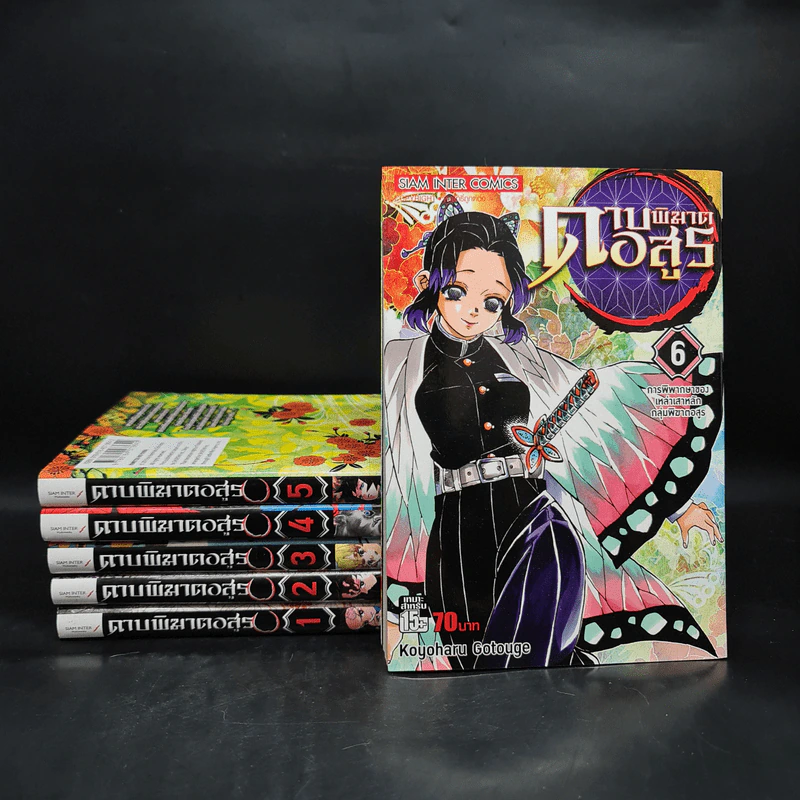 ดาบพิฆาตอสูร เล่ม 1-6 รูปที่ 1
