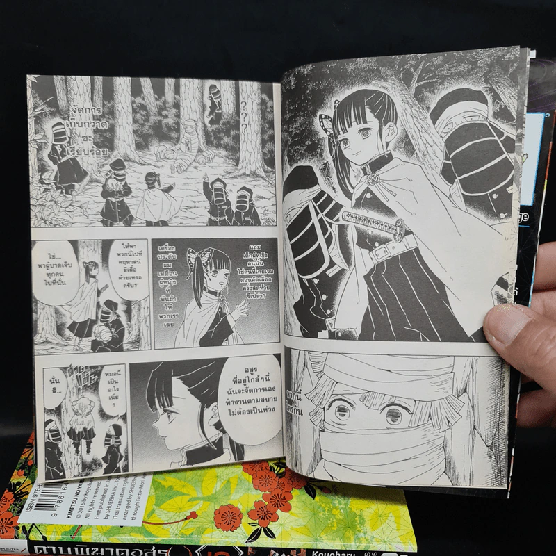 ดาบพิฆาตอสูร เล่ม 1-6 รูปที่ 7