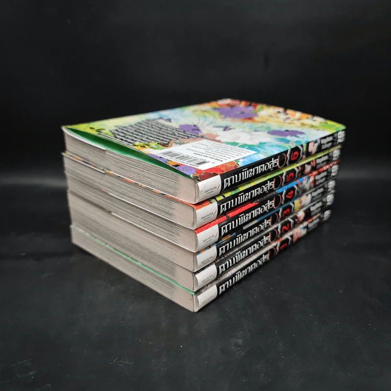 ดาบพิฆาตอสูร เล่ม 1-6 รูปที่ 4