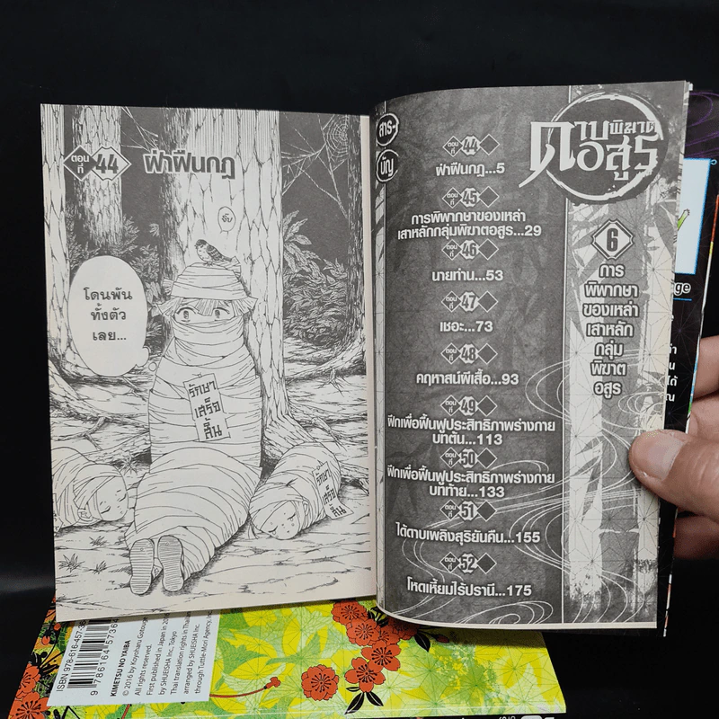 ดาบพิฆาตอสูร เล่ม 1-6 รูปที่ 6