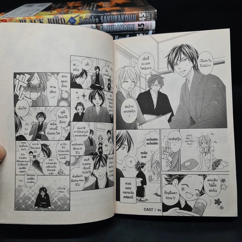 Black Bird 18 เล่มจบ - AKURAKOUJI Kanoko (ซากุระคูจิ คาโนโกะ) รูปที่ 7