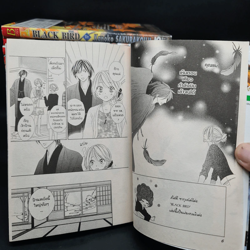 Black Bird 18 เล่มจบ - AKURAKOUJI Kanoko (ซากุระคูจิ คาโนโกะ) รูปที่ 6
