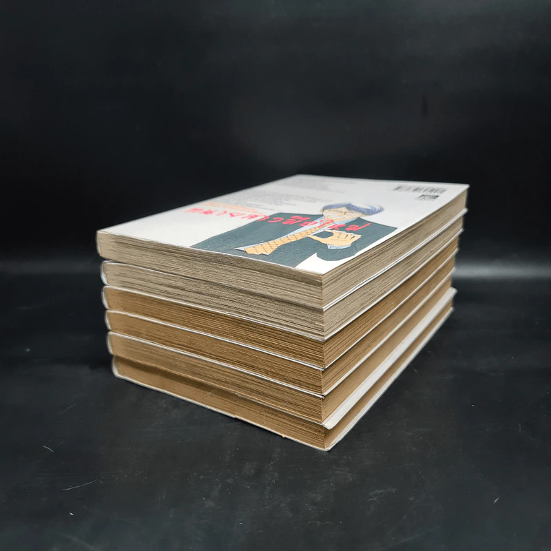 ทนายสาวมือใหม่ เล่ม 1-6 รูปที่ 3
