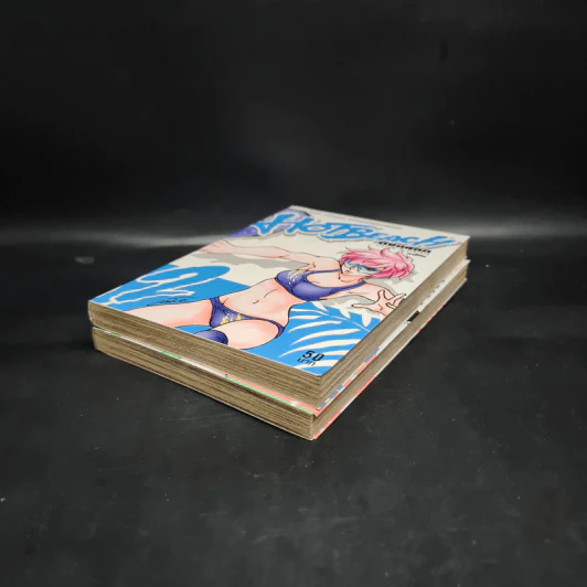 Hot Beach ตบแหลก Duck & Swan เล่ม 1-2 - ตาโปน รูปที่ 4