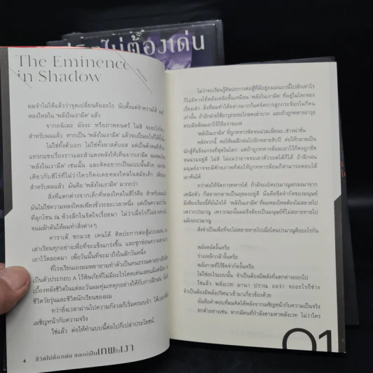 ชีวิตไม่ต้องเด่น ขอแค่เป็นเทพในเงา เล่ม 1-3 - ไดสุเกะ ไอซาวะ รูปที่ 6