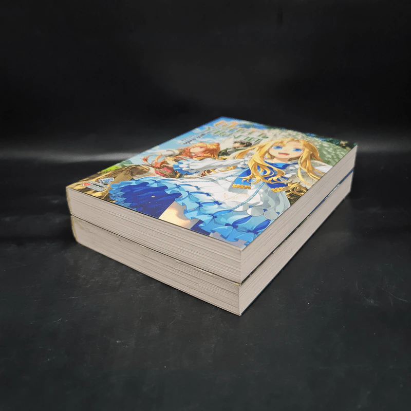 ผู้กล้าโล่ผงาด เล่ม 1-2 รูปที่ 4