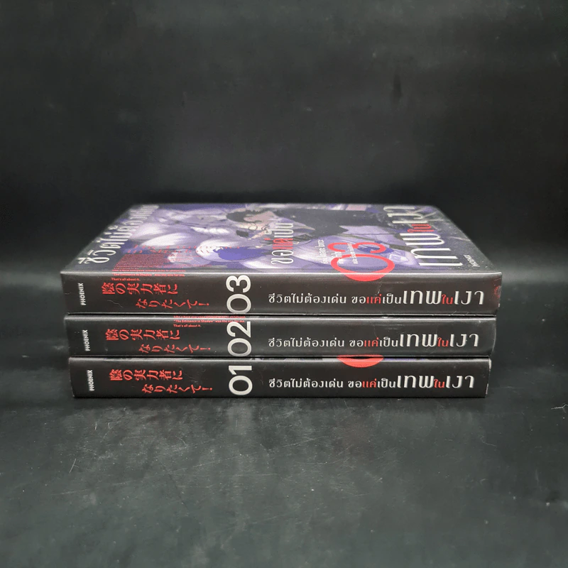 ชีวิตไม่ต้องเด่น ขอแค่เป็นเทพในเงา เล่ม 1-3 - ไดสุเกะ ไอซาวะ รูปที่ 2