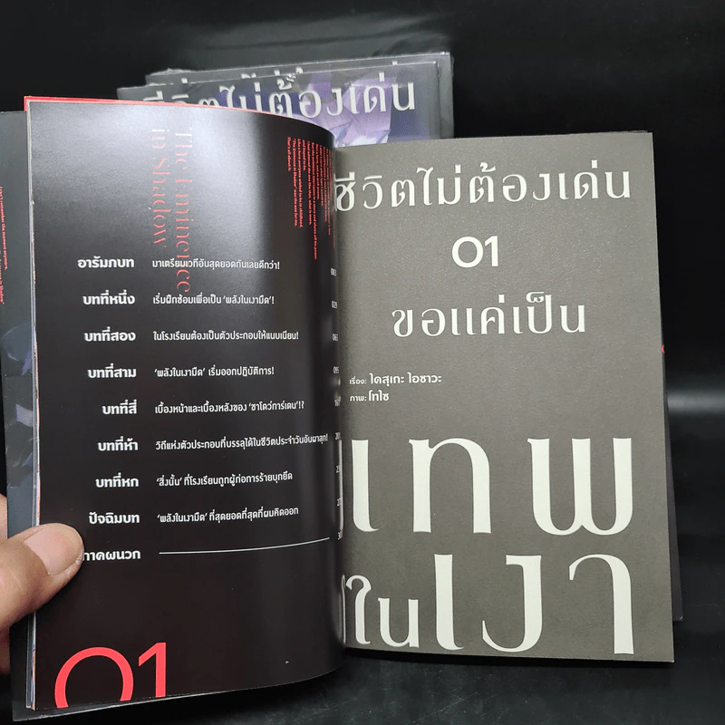 ชีวิตไม่ต้องเด่น ขอแค่เป็นเทพในเงา เล่ม 1-3 - ไดสุเกะ ไอซาวะ รูปที่ 5