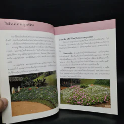 คู่มือคนรักต้นไม้ ไม้ดอกคลุมดิน - ปัทมา แซ่ลี้ รูปที่ 6