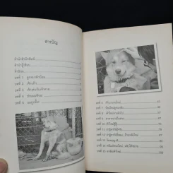 เจ้าใหม่ บางแก้วผู้อาภัพ - กาเซโบ รูปที่ 7