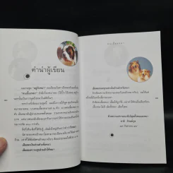 คนเลี้ยงหมา - ชาติ ภิรมย์กุล รูปที่ 6
