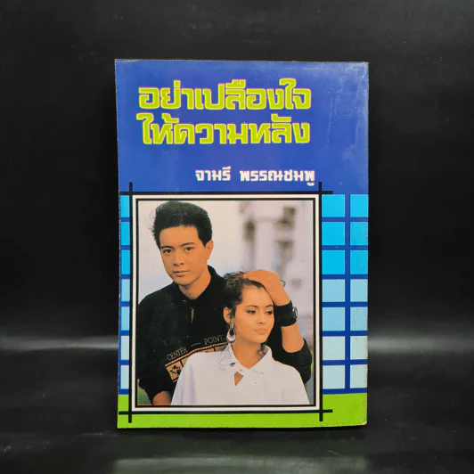 อย่าเปลืองใจให้ความหลัง - จามรี พรรณชมพู รูปที่ 2