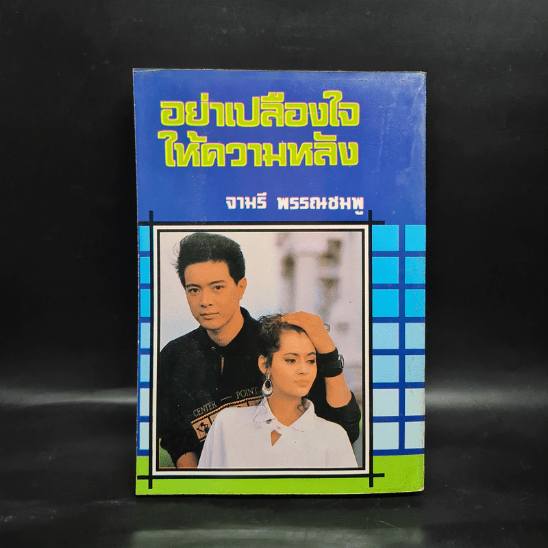 อย่าเปลืองใจให้ความหลัง - จามรี พรรณชมพู รูปที่ 2