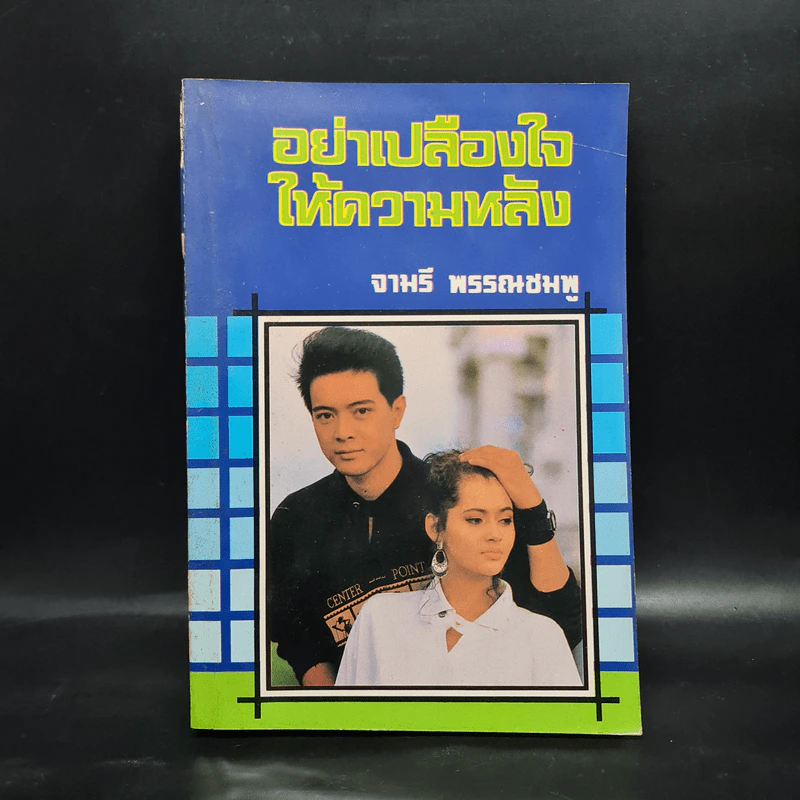 อย่าเปลืองใจให้ความหลัง - จามรี พรรณชมพู รูปที่ 1