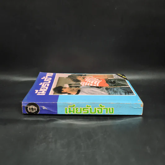 เมียรับจ้าง - วลัย นวาระ รูปที่ 3