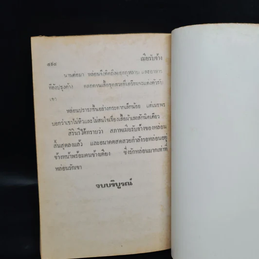 เมียรับจ้าง - วลัย นวาระ รูปที่ 7