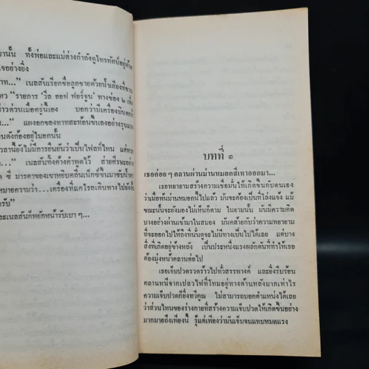 ภาพลวงตา Mirror Image - Sandra Brown รูปที่ 6