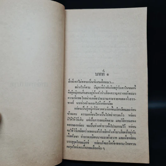 เพลิงพยาบาท - Sandra Brown รูปที่ 6