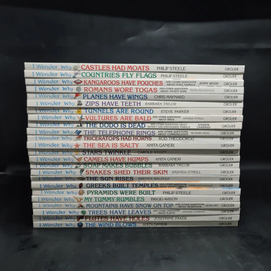 I Wonder Why ขายรวม 24 เล่ม รูปที่ 2