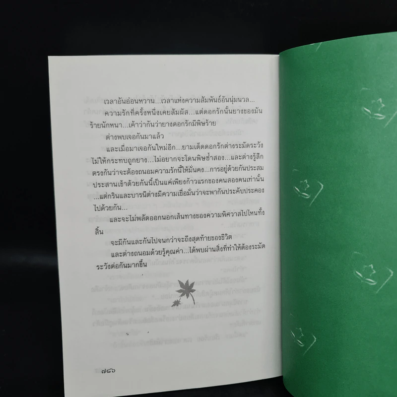 พิศวาสอลเวง - กันยามาส รูปที่ 7