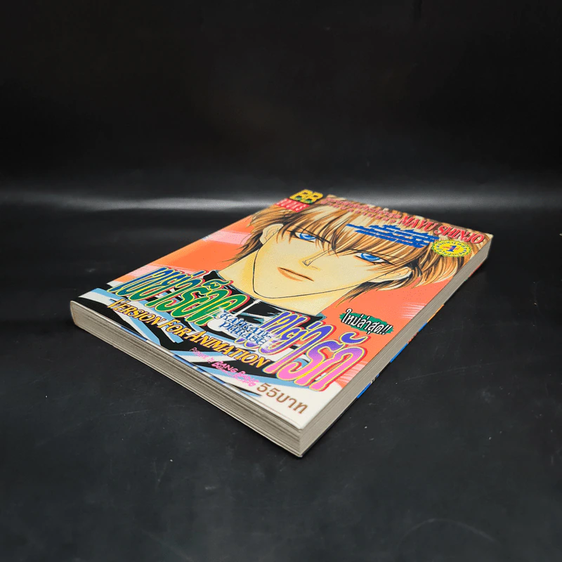 เขย่าร็อคเขย่ารัก Version for Animation - Mayu Shinjo รูปที่ 4