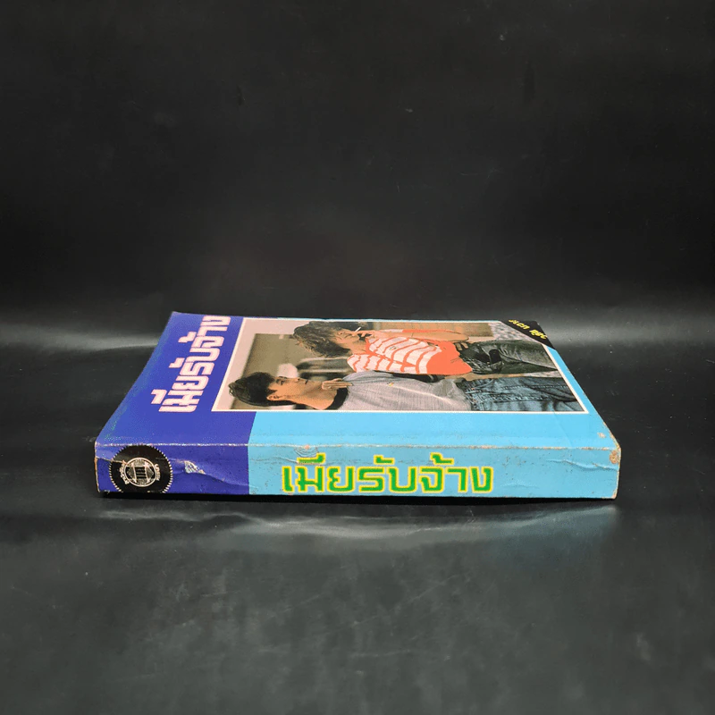เมียรับจ้าง - วลัย นวาระ รูปที่ 3