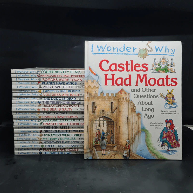 I Wonder Why ขายรวม 24 เล่ม รูปที่ 1