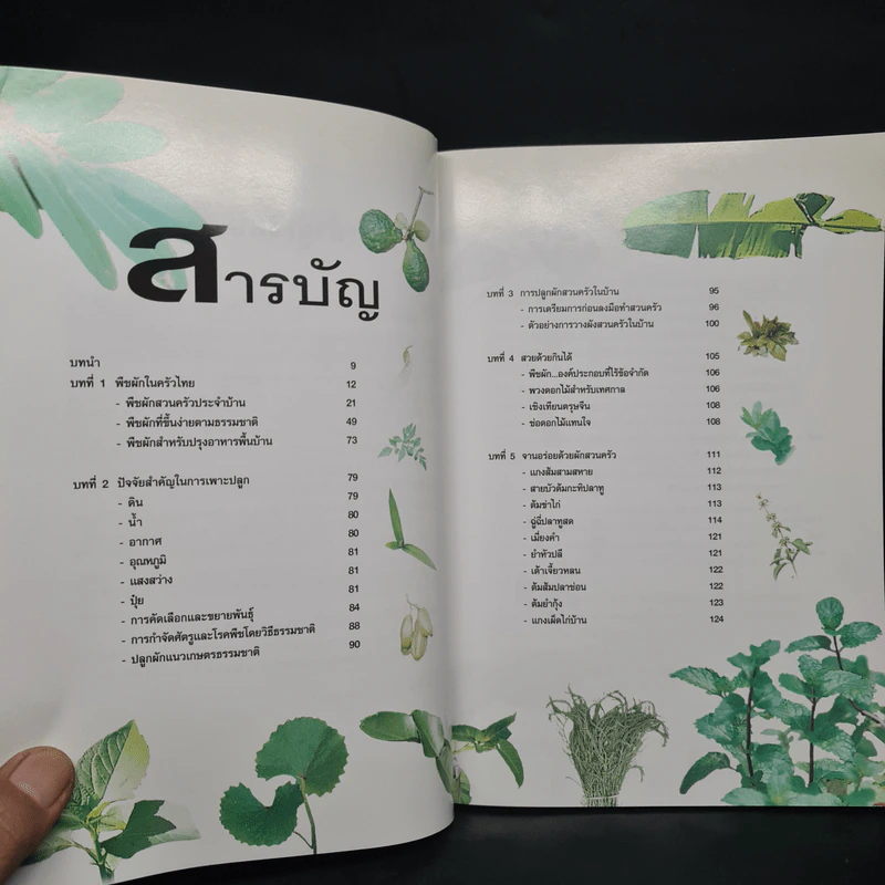 สวนสวยกินได้ - พรพิมล เรืองศิริ รูปที่ 6