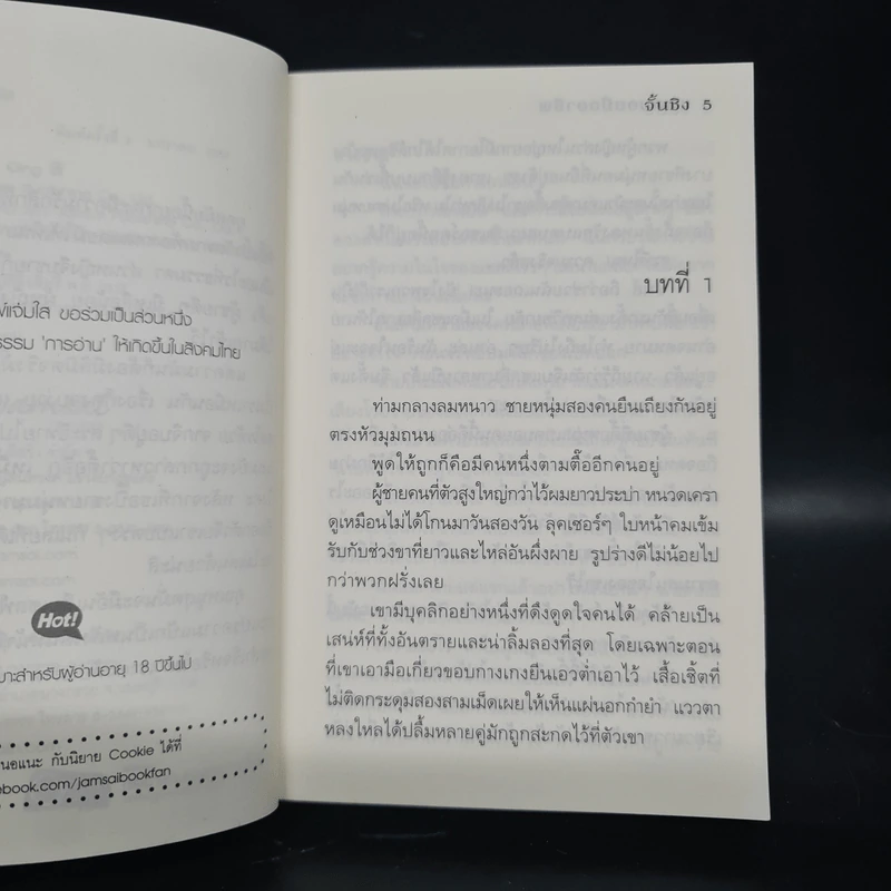 แบดบอยมืออาชีพ (Cookie) - จั้นชิง รูปที่ 6