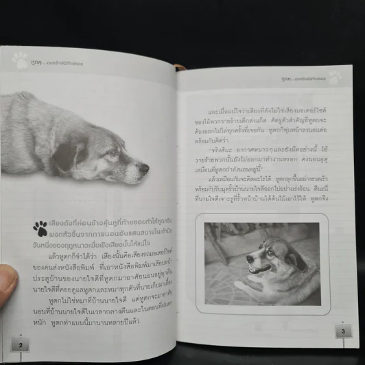 หูตก...องครักษ์พิทักษ์ซอย - มนตรี พุทธชาติ รูปที่ 6