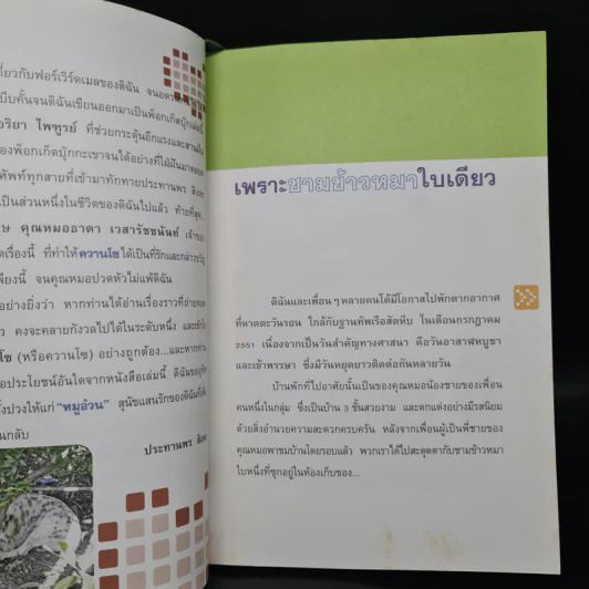 ใครว่าป้าชื่อวองโซ - ประทานพร สิงหะ รูปที่ 6