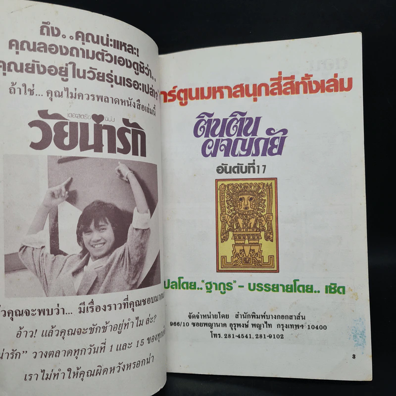 ตินตินผจญภัย ลำดับที่ 17 ตอน เชลยศึกเจ้าอาทิตย์ รูปที่ 5