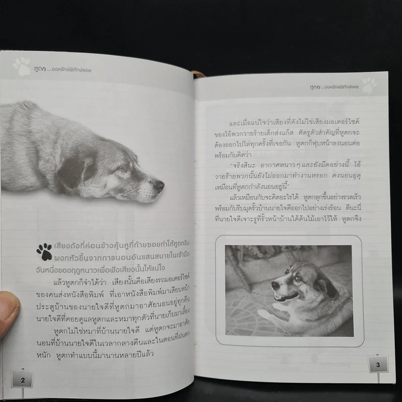 หูตก...องครักษ์พิทักษ์ซอย - มนตรี พุทธชาติ รูปที่ 6