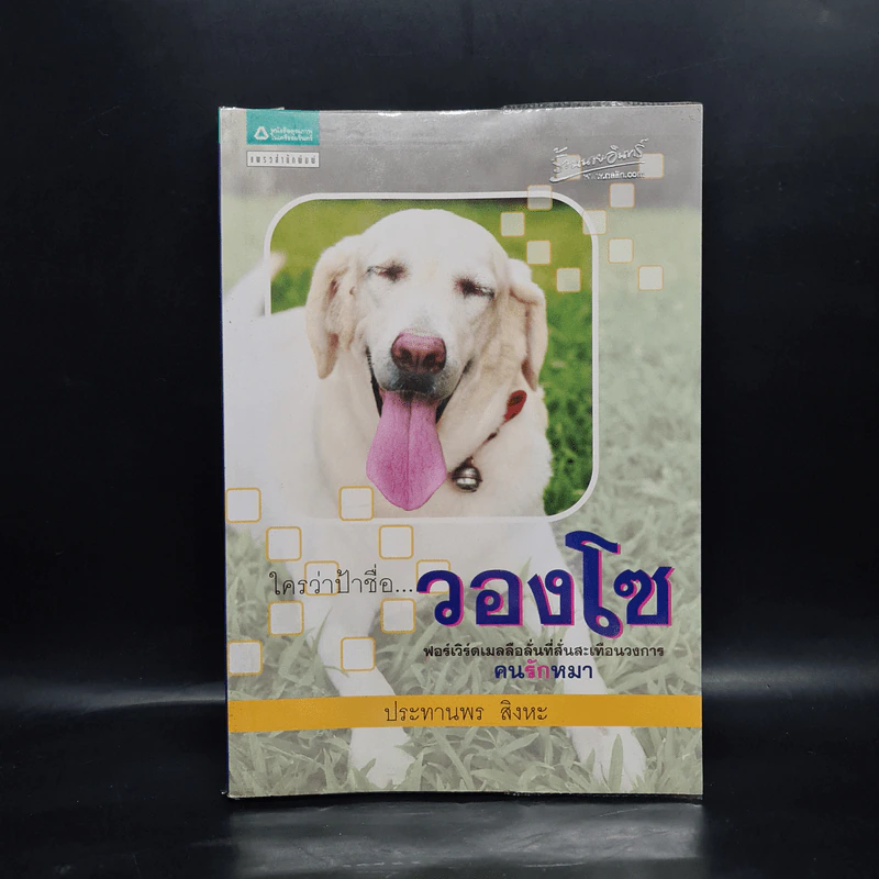 ใครว่าป้าชื่อวองโซ - ประทานพร สิงหะ รูปที่ 1