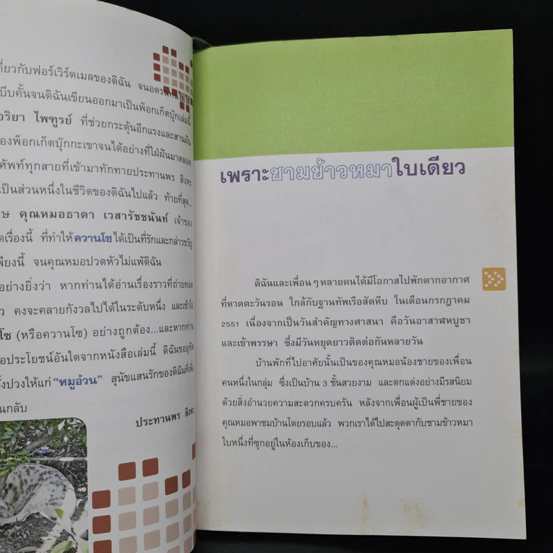 ใครว่าป้าชื่อวองโซ - ประทานพร สิงหะ รูปที่ 6