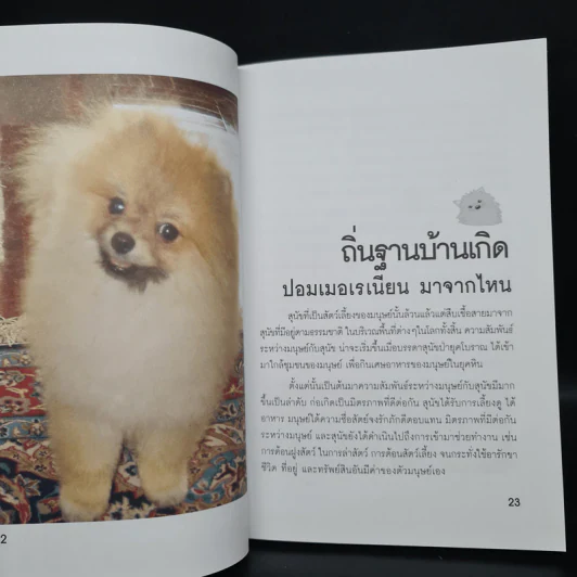 คู่มือการเลี้ยงปอมเมอเรเนียน - นลินี สีตะสุวรรณ รูปที่ 7