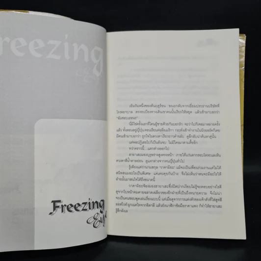 นิยายวาย Freezing Eye - Katou Erena รูปที่ 6