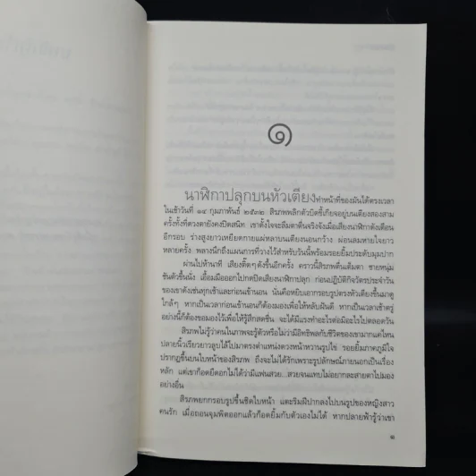 ฤาฟ้ามิอาจกั้น - ธุวดารา รูปที่ 6