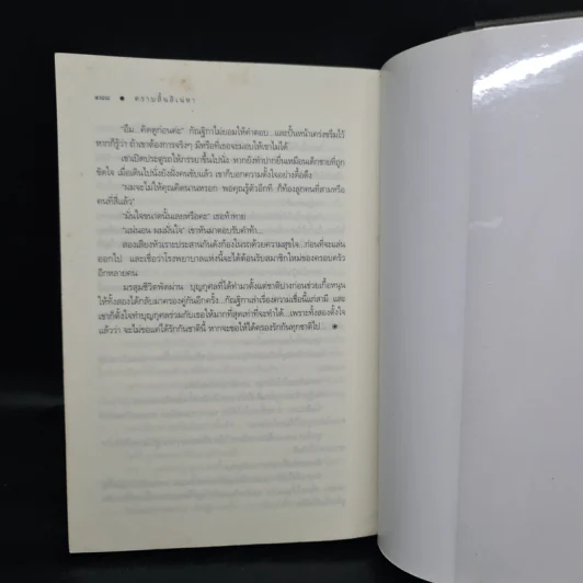 ตราบสิ้นสิเน่หา - ณารา รูปที่ 7