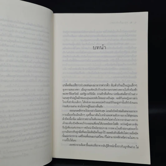 ตราบสิ้นสิเน่หา - ณารา รูปที่ 6