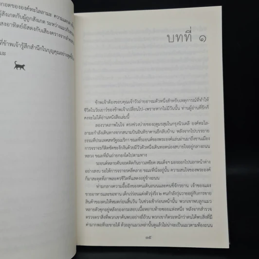 แมวขององค์ทะไลลามะ - David Michie (เดวิด มิชี่) รูปที่ 7